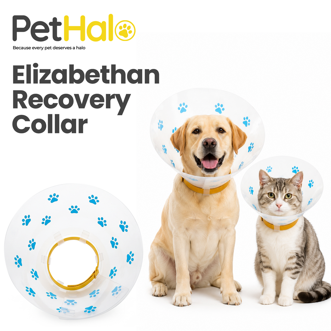 Elizabethan Recovery Collar for Clinics — Dog &amp; Cat E-Collar, 6 Sizes