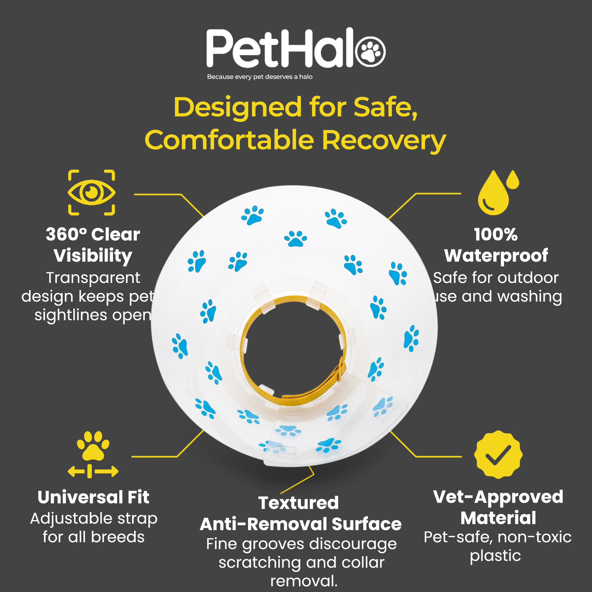 Elizabethan Recovery Collar