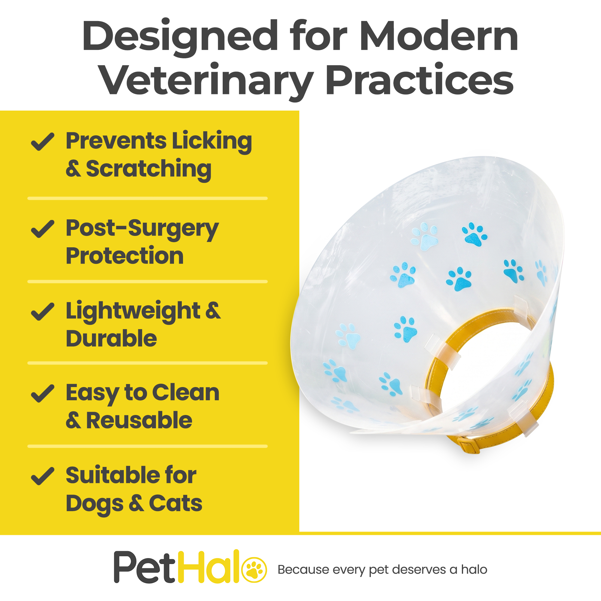 Elizabethan Recovery Collar