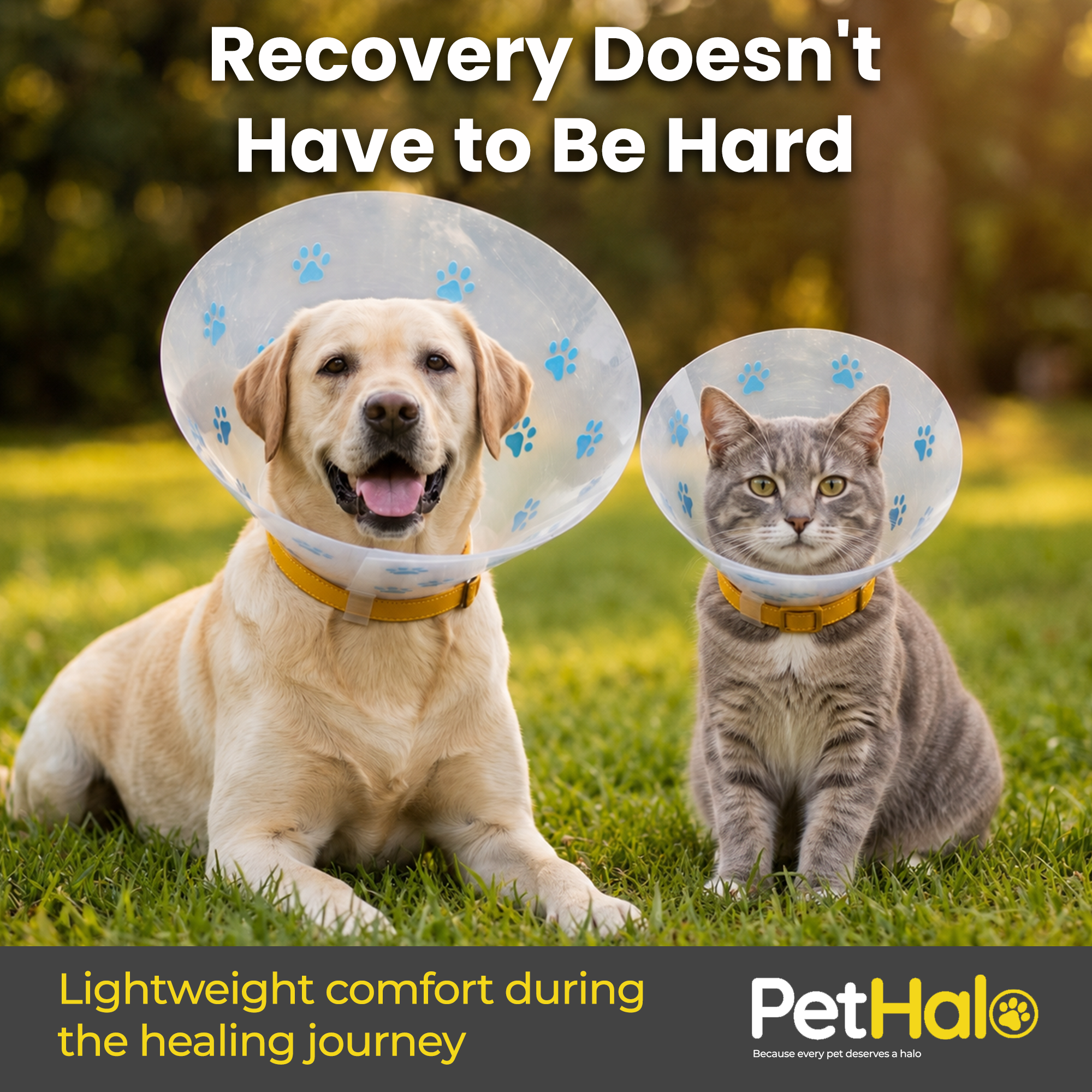 Elizabethan Recovery Collar