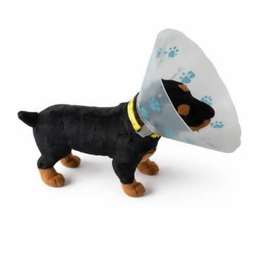 Elizabethan Collar 12.5cm
